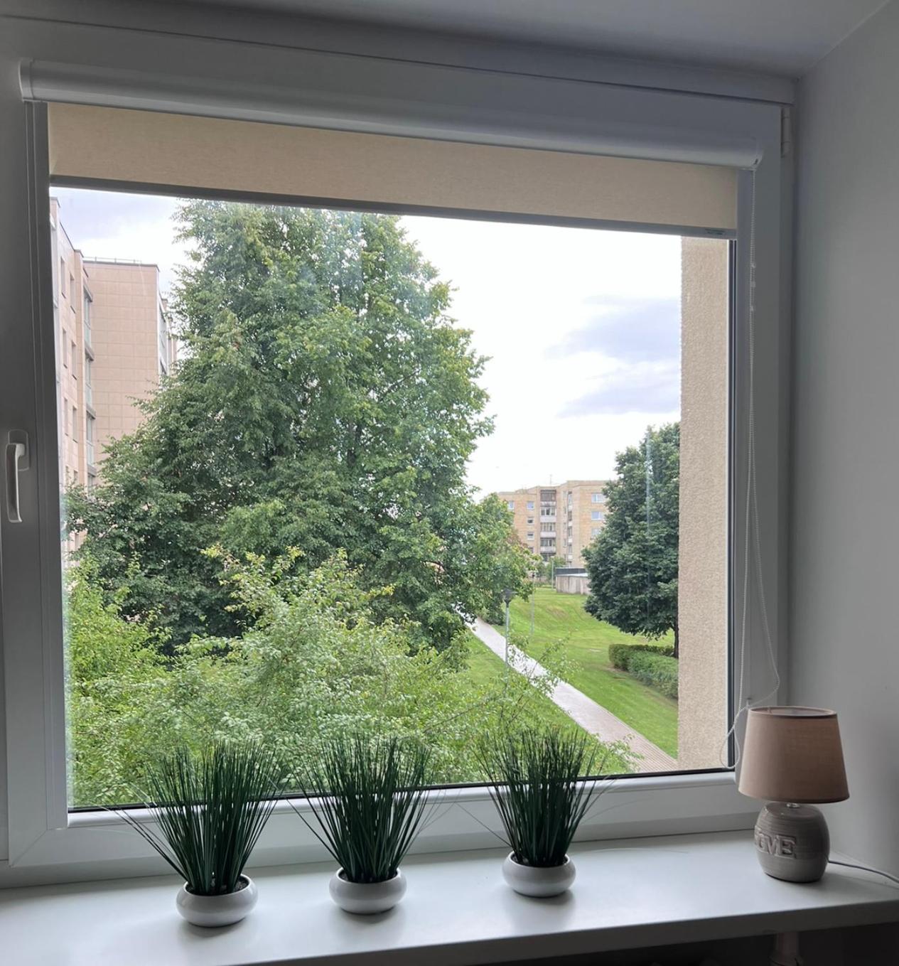 Sauleti Apartamentai Trakuose/Sunny Apartment In Тракай Экстерьер фото
